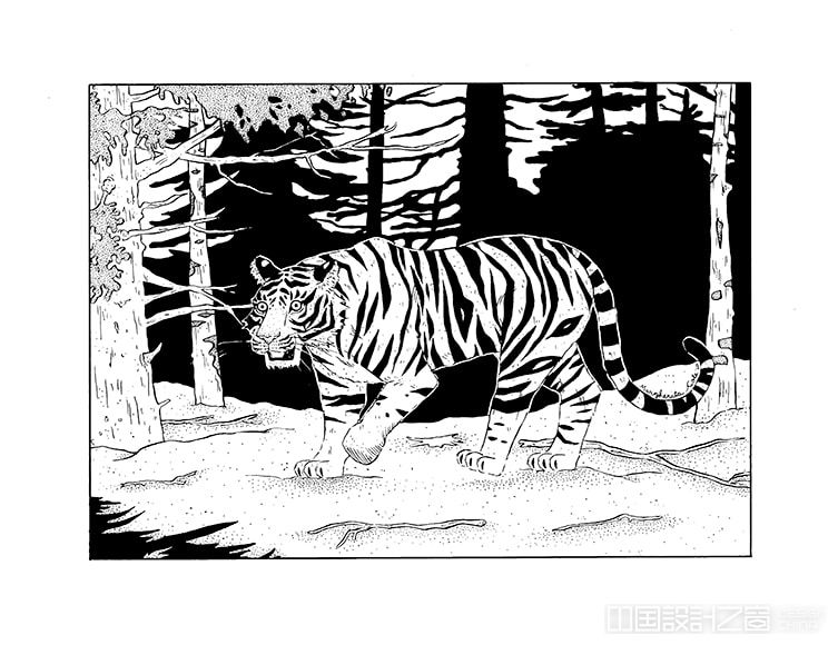 How to Draw a Tiger Drawing Tutorial 