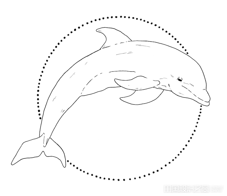 How to Draw a Dolphin