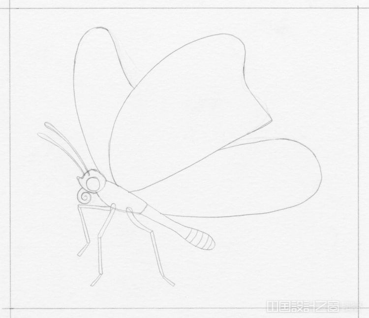 Mo<em></em>narch Butterfly Illustration