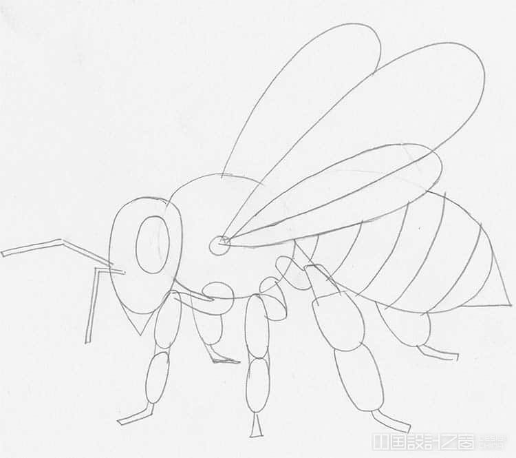 How to Draw a Bee