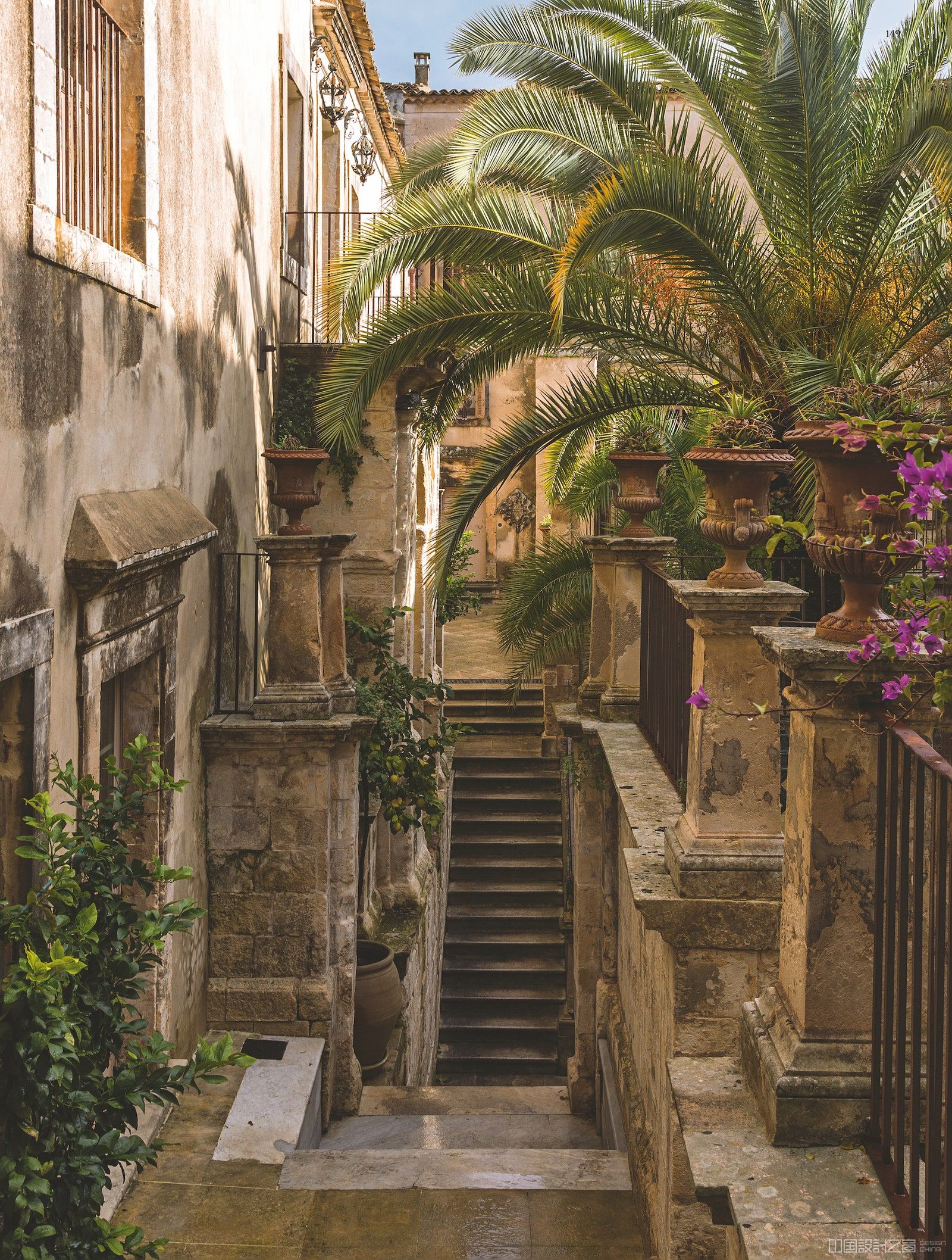 stairs and plants