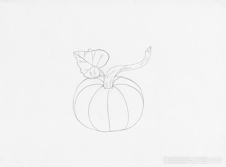 How to Draw a Pumpkin Step by Step