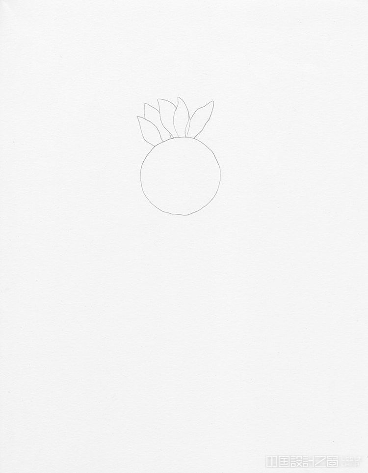 How to Draw a Sunflower