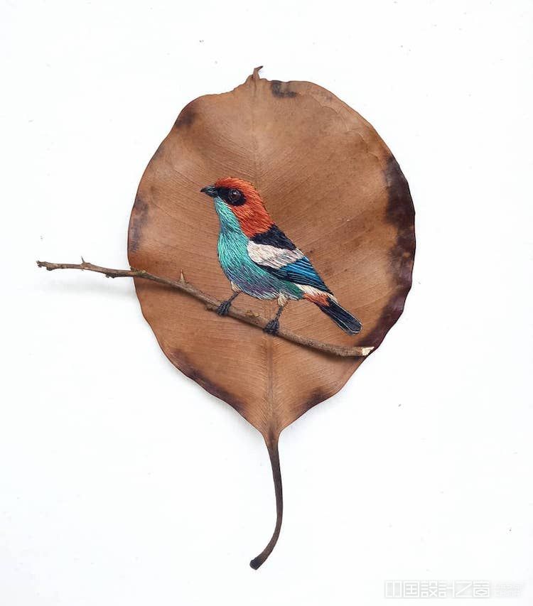 Embroidery on Leaves on Laura Dalla Vecchia