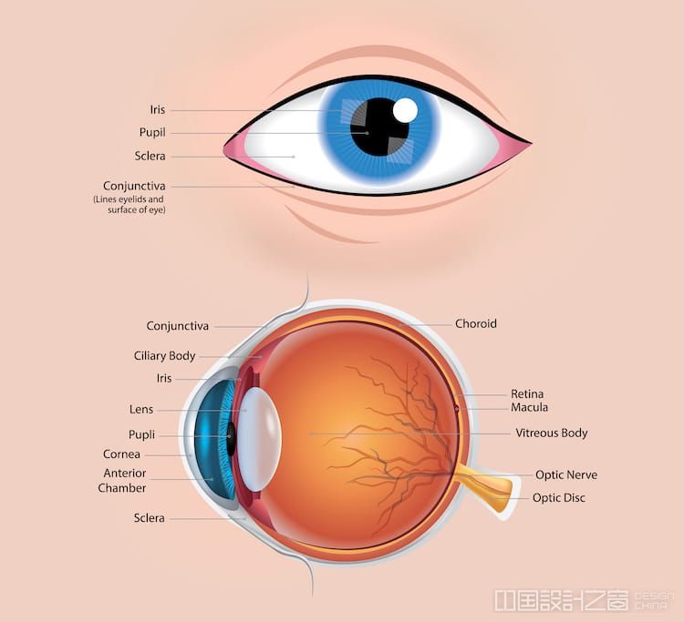 How to Draw Eyes