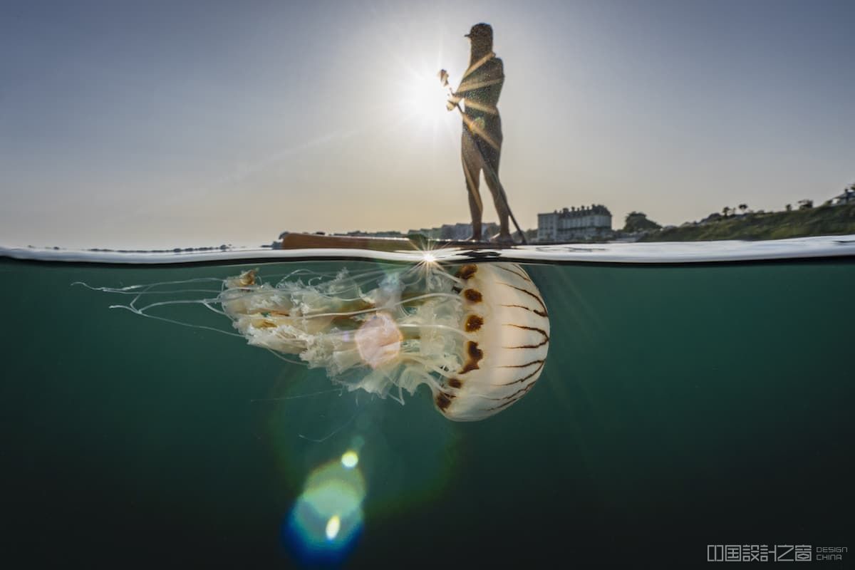 Over Under Photo with Paddle Boarder and Jellyfish