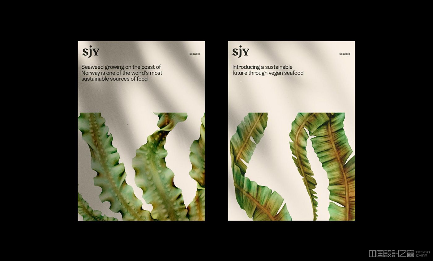 Sjy Seaweed identity