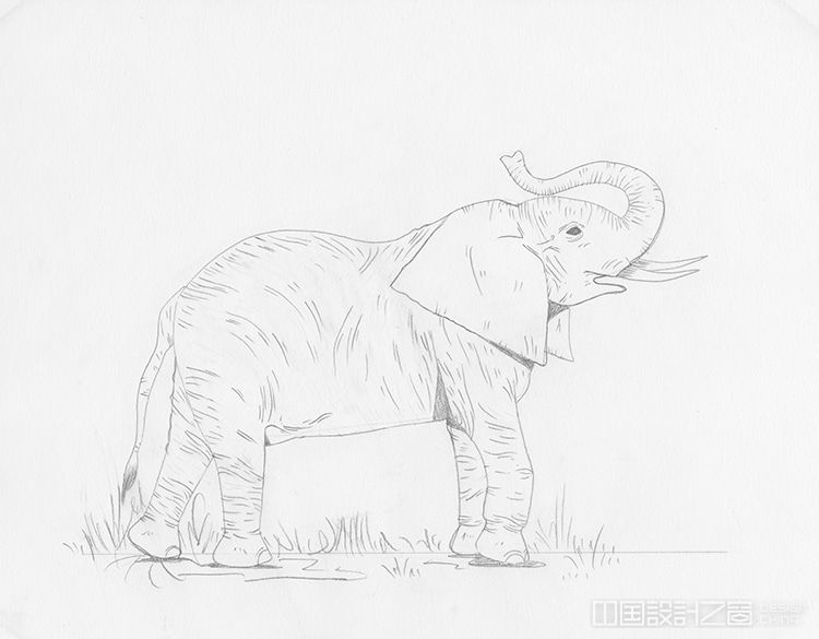 How to Draw an Elephant Tutorial 