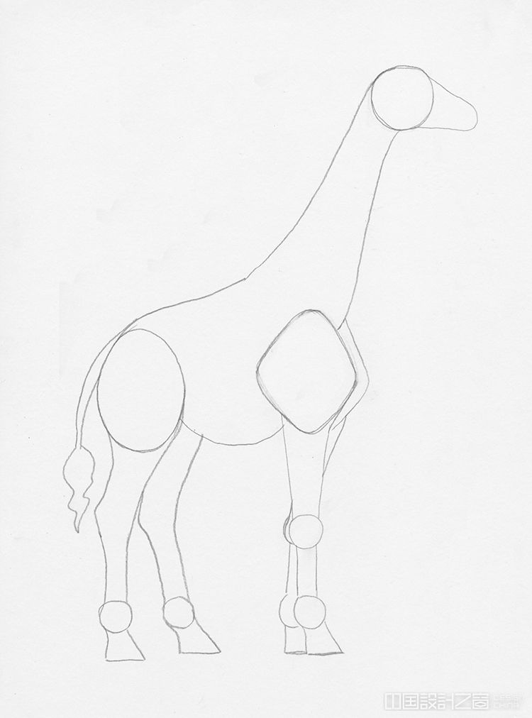 How to Draw a Giraffe