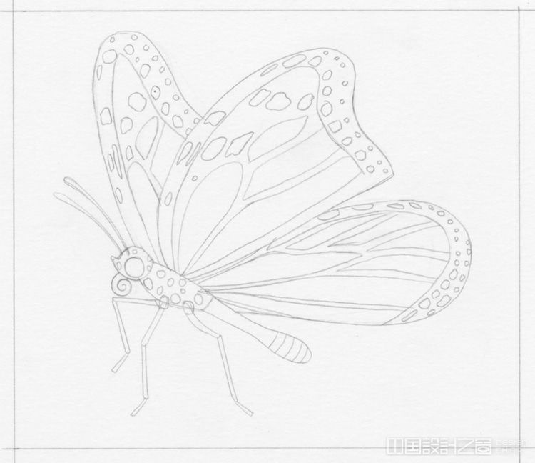 Mo<em></em>narch Butterfly Illustration