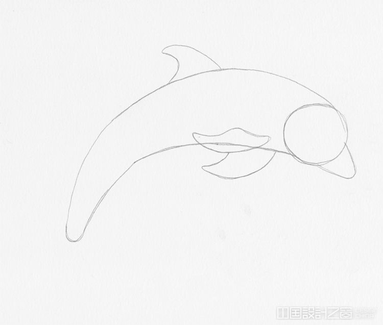 How to Draw a Dolphin