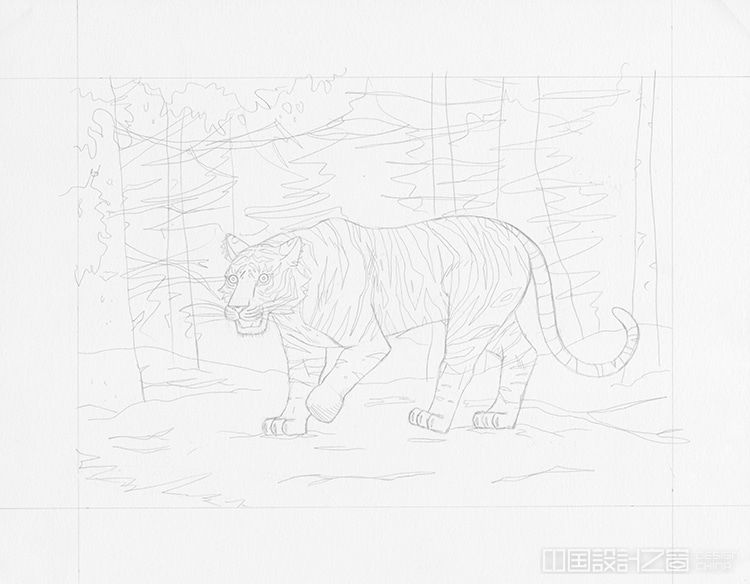 How to Draw a Tiger Drawing Tutorial 