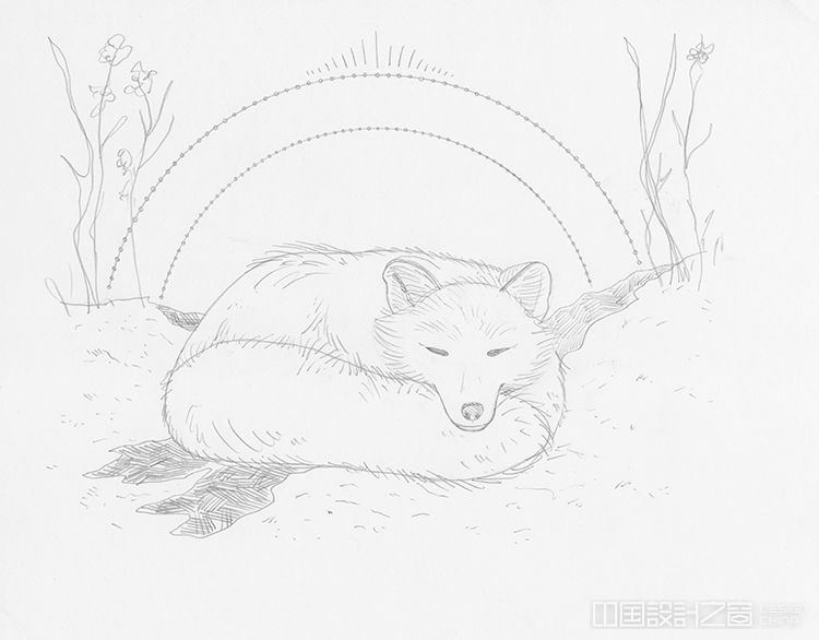 How to Draw a Sleeping Fox