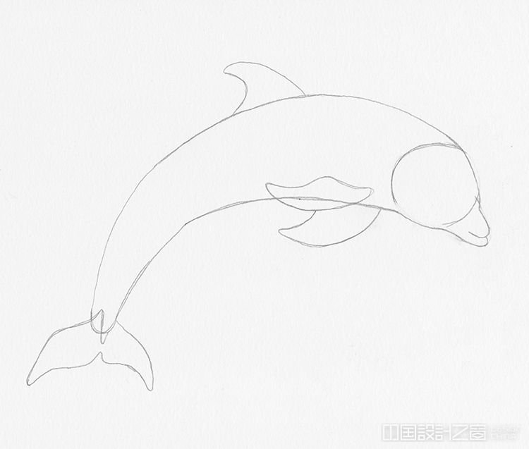 How to Draw a Dolphin