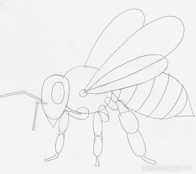 How to Draw a Bee