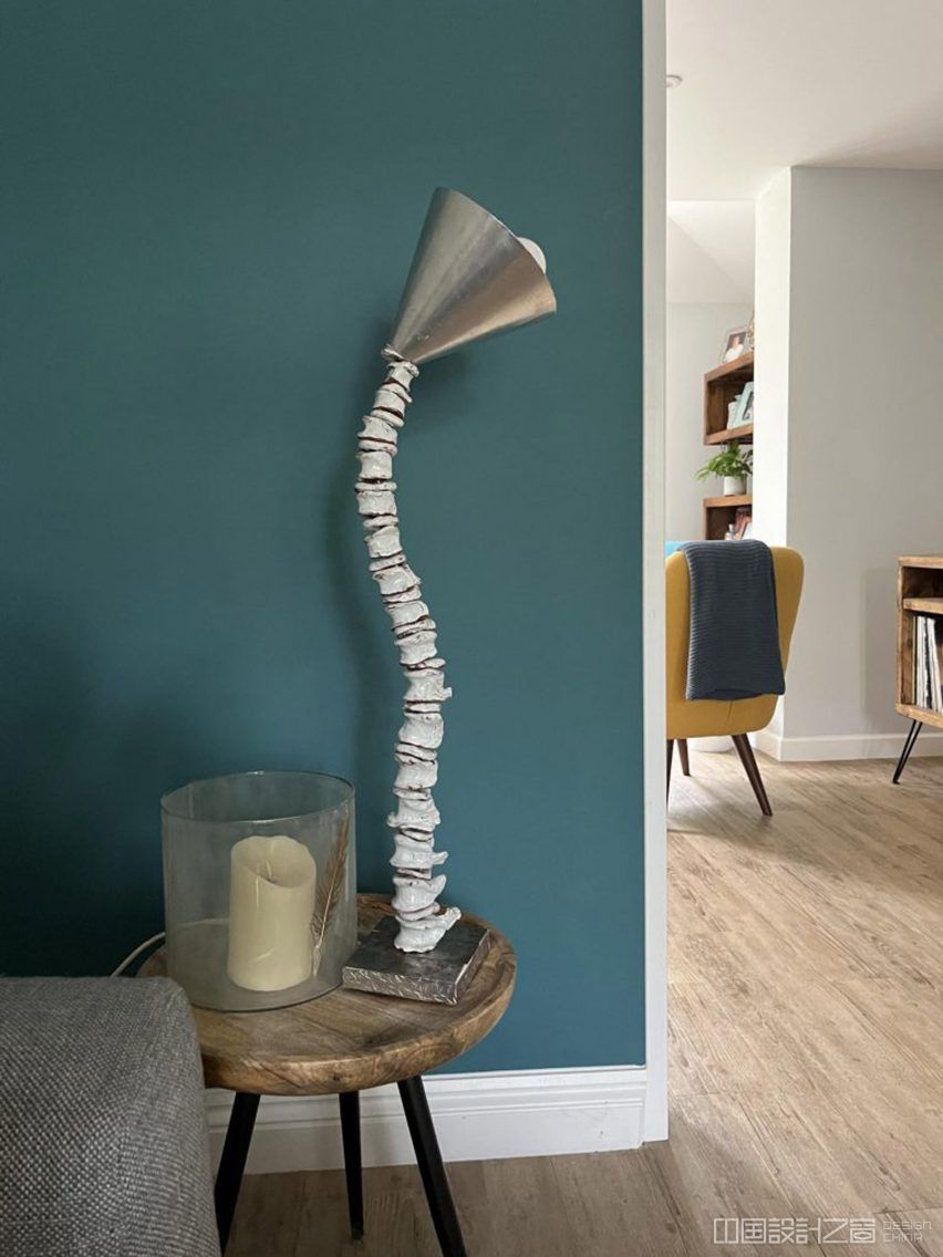 Domestic interior with spine-shaped lamp on side table