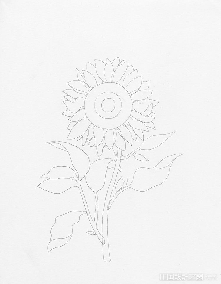 How to Draw a Sunflower