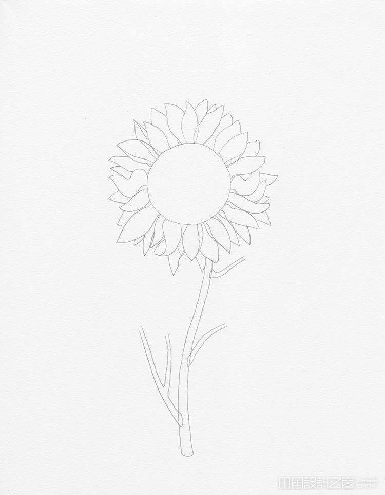 How to Draw a Sunflower