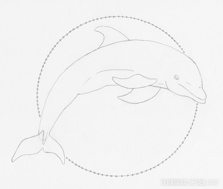 How to Draw a Dolphin