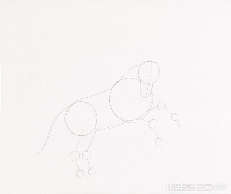 How to Draw a Unicorn