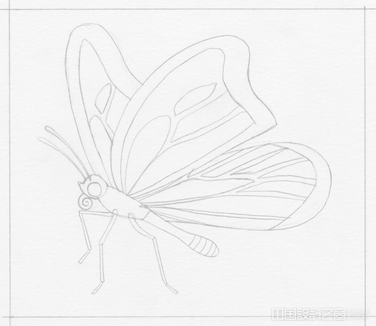 Mo<em></em>narch Butterfly Illustration