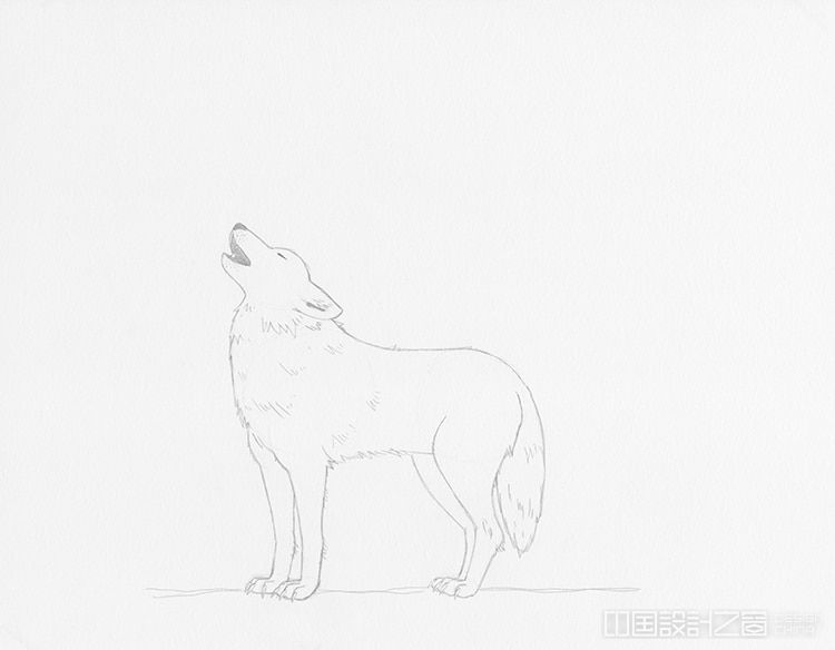 How to Draw a Wolf Howling at the Moon