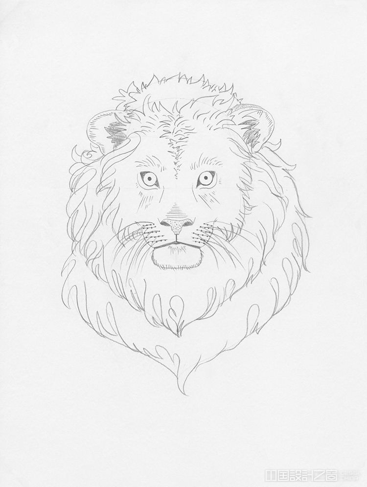 How to Draw a Lion Step by Step