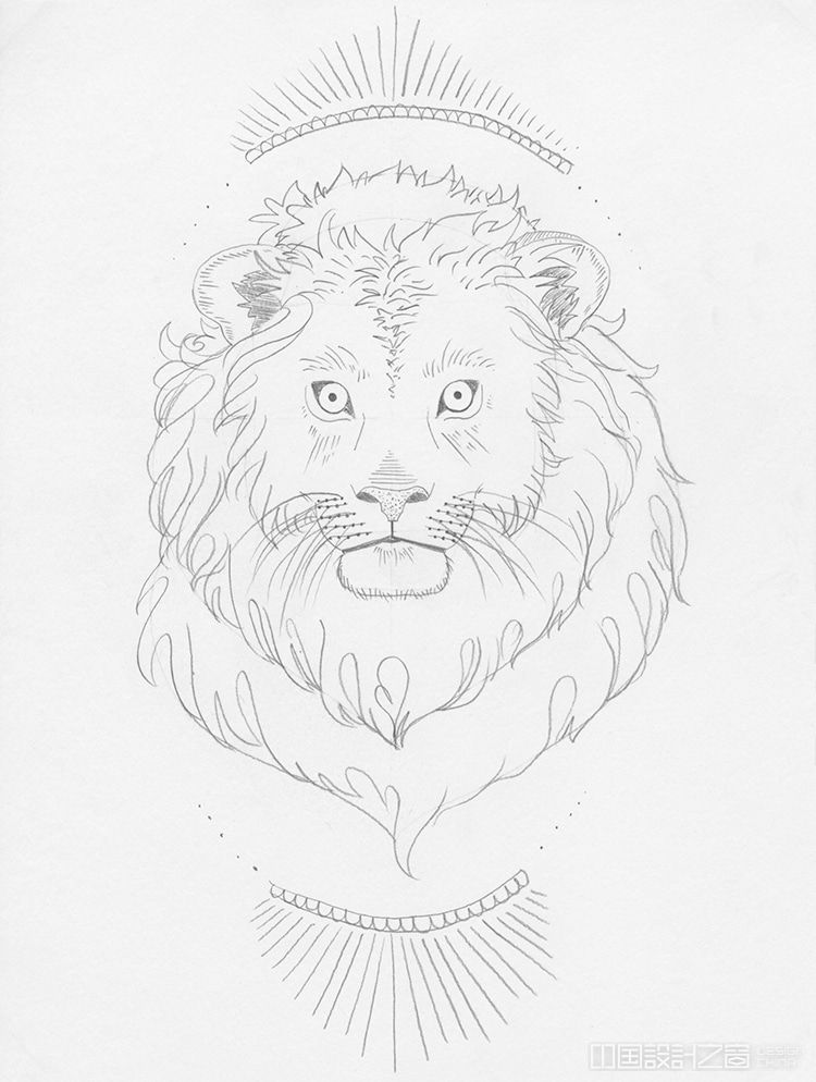 How to Draw a Lion Step by Step