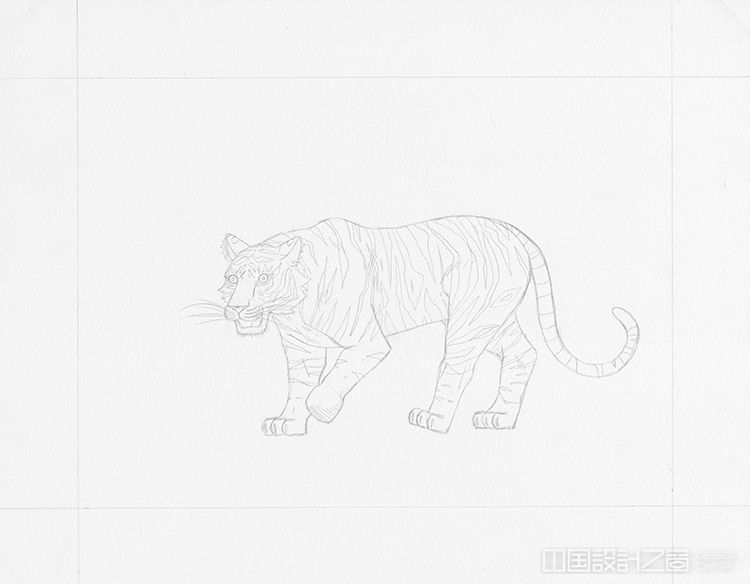 How to Draw a Tiger Drawing Tutorial 
