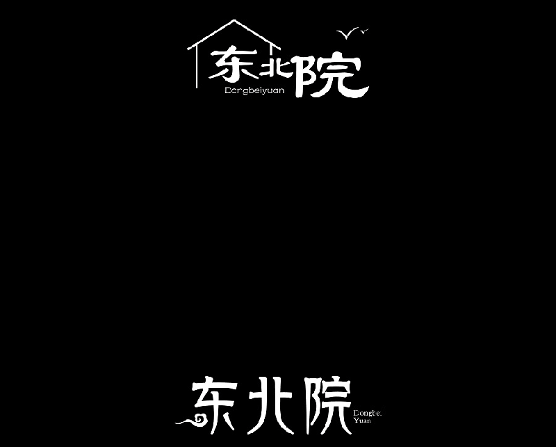 东北院LOGO设计飞机稿