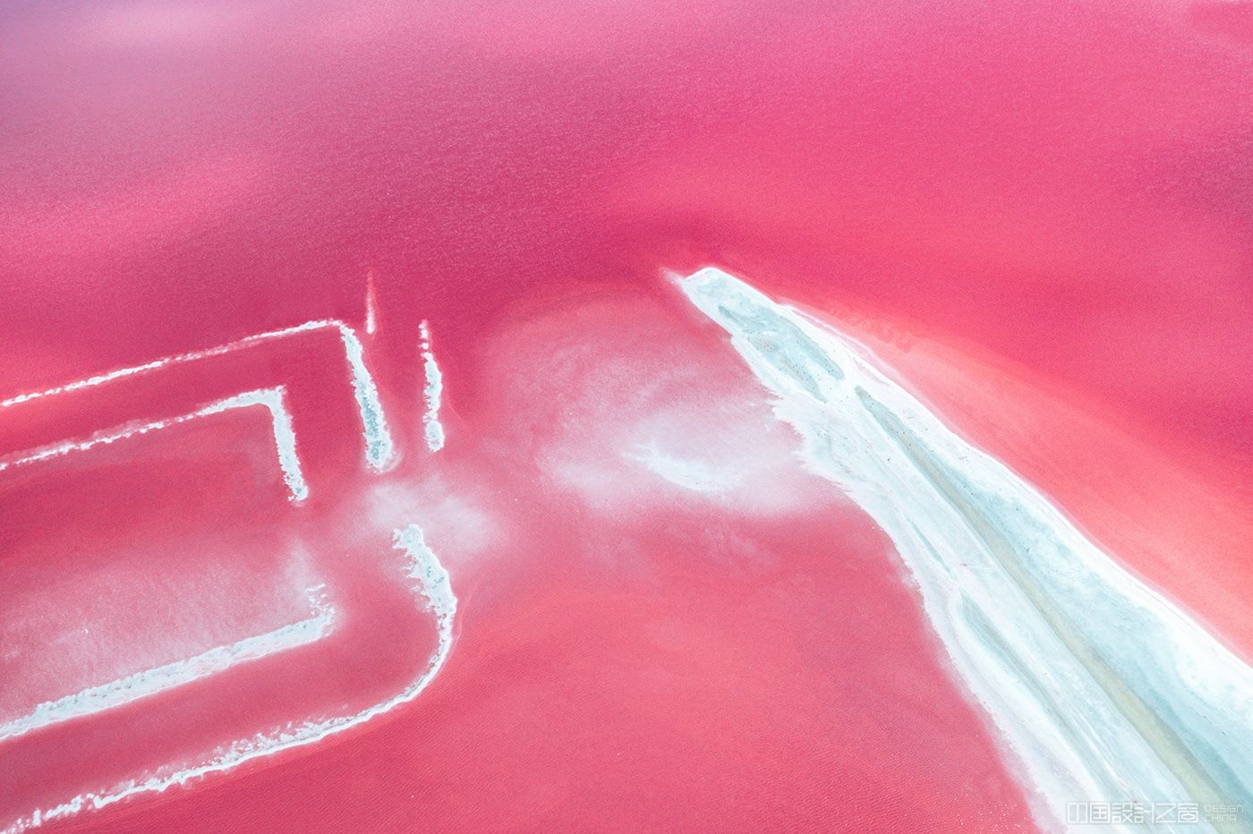 Pink Algae in France