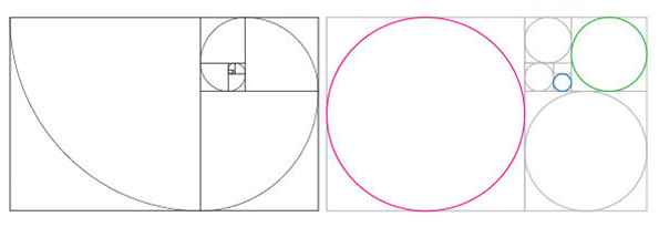 提到规范化,那就罗嗦几句提一下黄金分割螺旋,这被公认为最具有审美