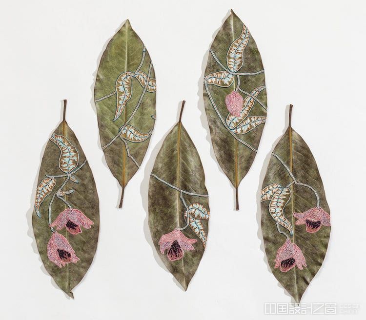 Embroidery on Leaves by Hillary Waters Fayle