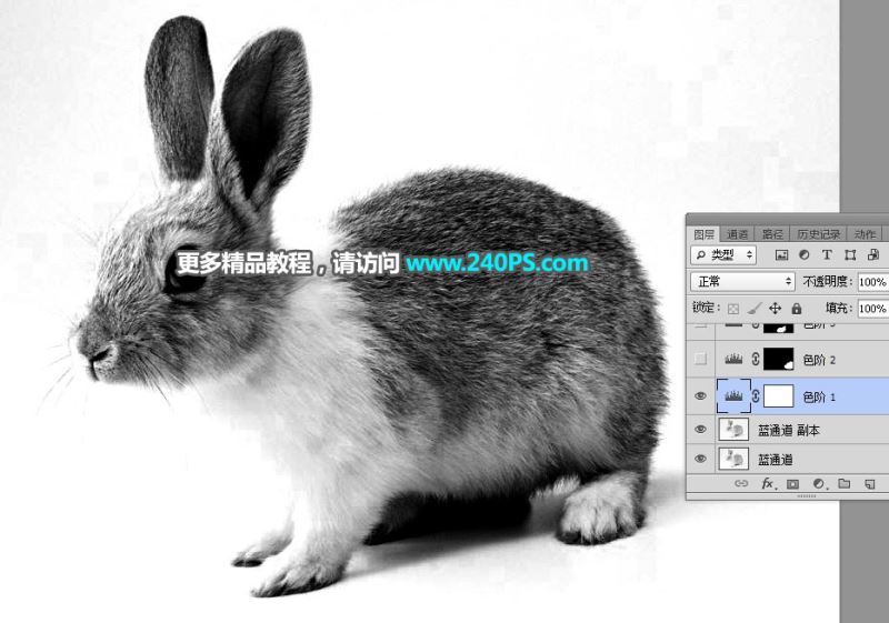 ps完美抠图利用通道及钢笔工具快速抠出白褐色毛茸茸的兔子教程