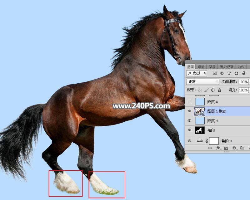 ps完美抠图快速抠出在草原上飞奔的骏马图片教程