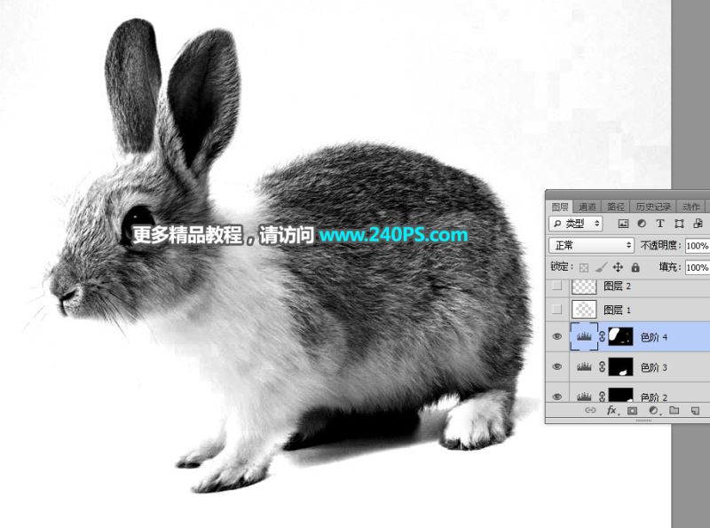 ps完美抠图利用通道及钢笔工具快速抠出白褐色毛茸茸的兔子教程