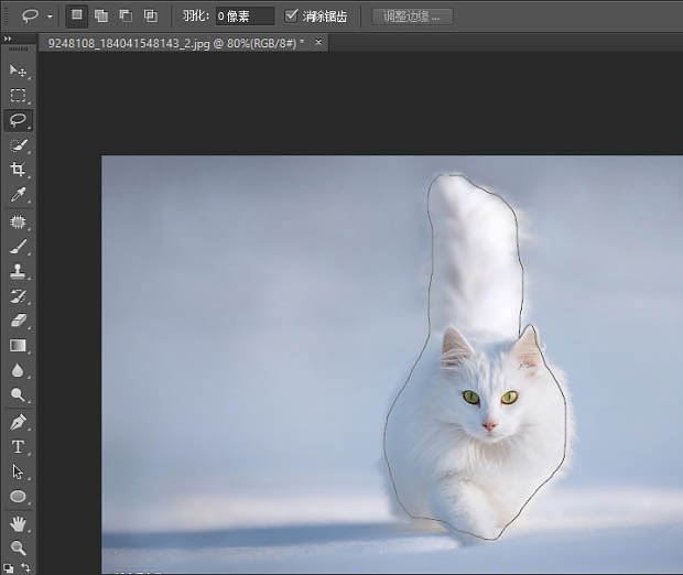 ps精细抠图利用调整边缘快速抠出白色可爱猫咪图片教程