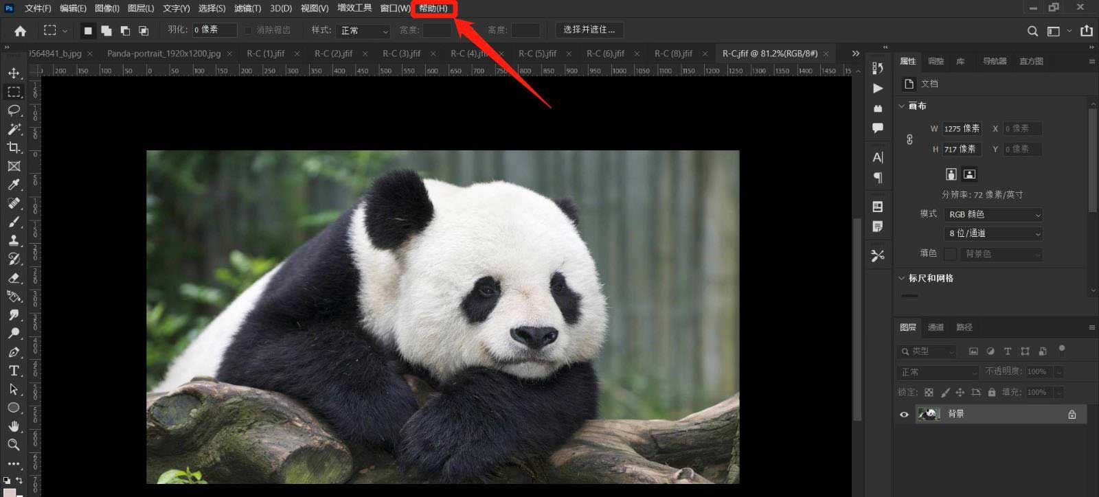 PS2022怎么查看可用内存? photoshop可用内存的查看方法