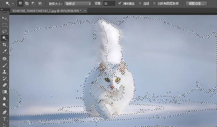 ps精细抠图利用调整边缘快速抠出白色可爱猫咪图片教程
