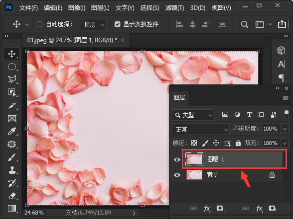 ps玫瑰花瓣怎么做拉丝效果? ps图片添拉丝背景图案的制作方法