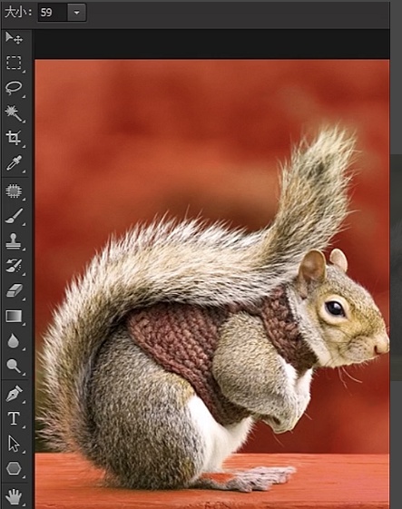 photoshop怎么快速抠动物毛发?ps抠取动物毛发的实用技巧 