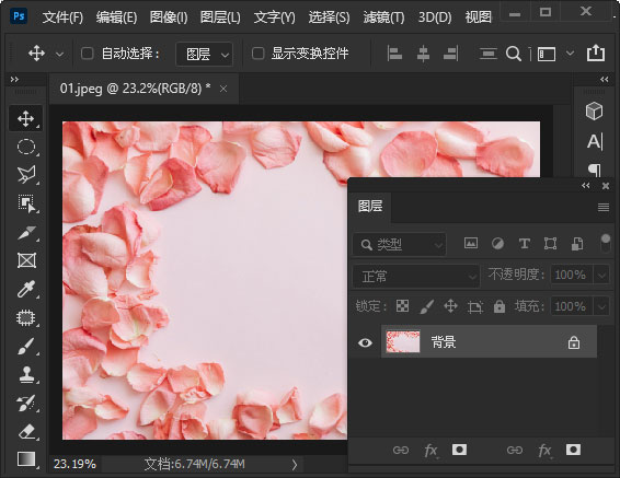 ps玫瑰花瓣怎么做拉丝效果? ps图片添拉丝背景图案的制作方法