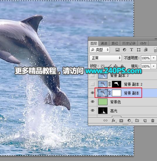 ps完美抠图快速抠出跃出水面的海豚图片教程