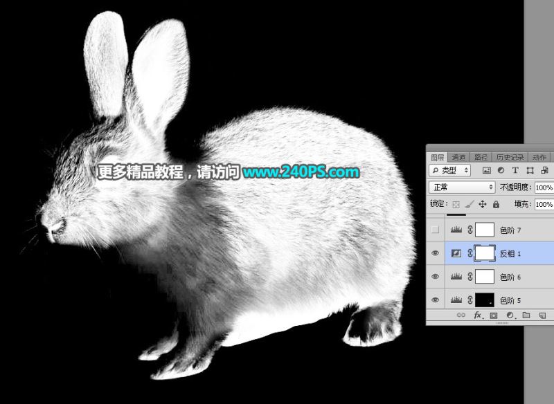 ps完美抠图利用通道及钢笔工具快速抠出白褐色毛茸茸的兔子教程