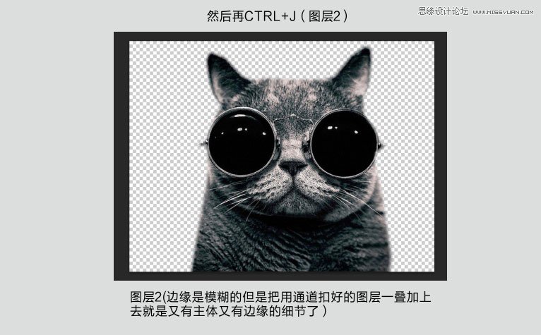 Photoshop使用通道给黑色猫咪抠图