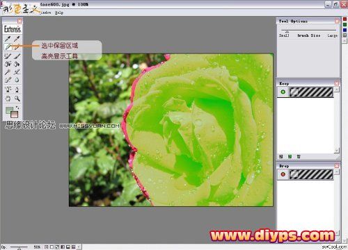 Photoshop抠图教程：插件Mask pro 4.11抠图使用介绍（图文）