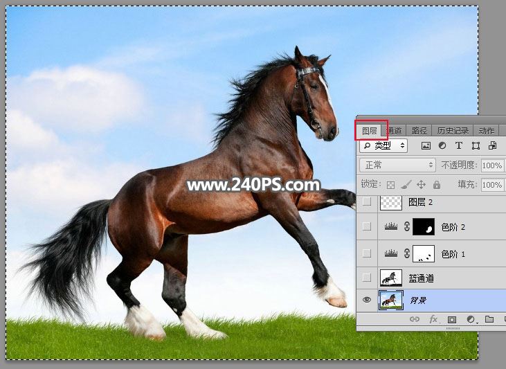 ps完美抠图快速抠出在草原上飞奔的骏马图片教程