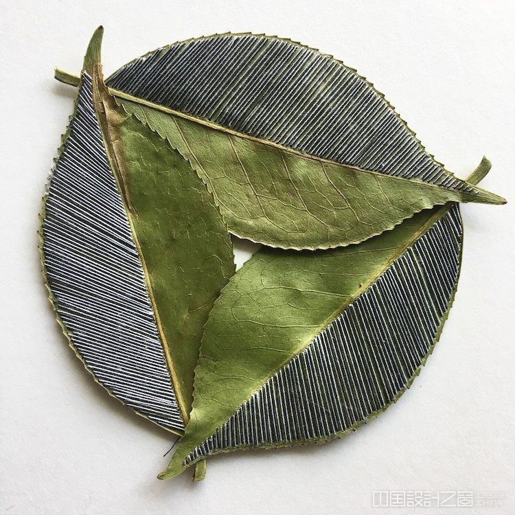 Embroidery on Leaves by Hillary Waters Fayle