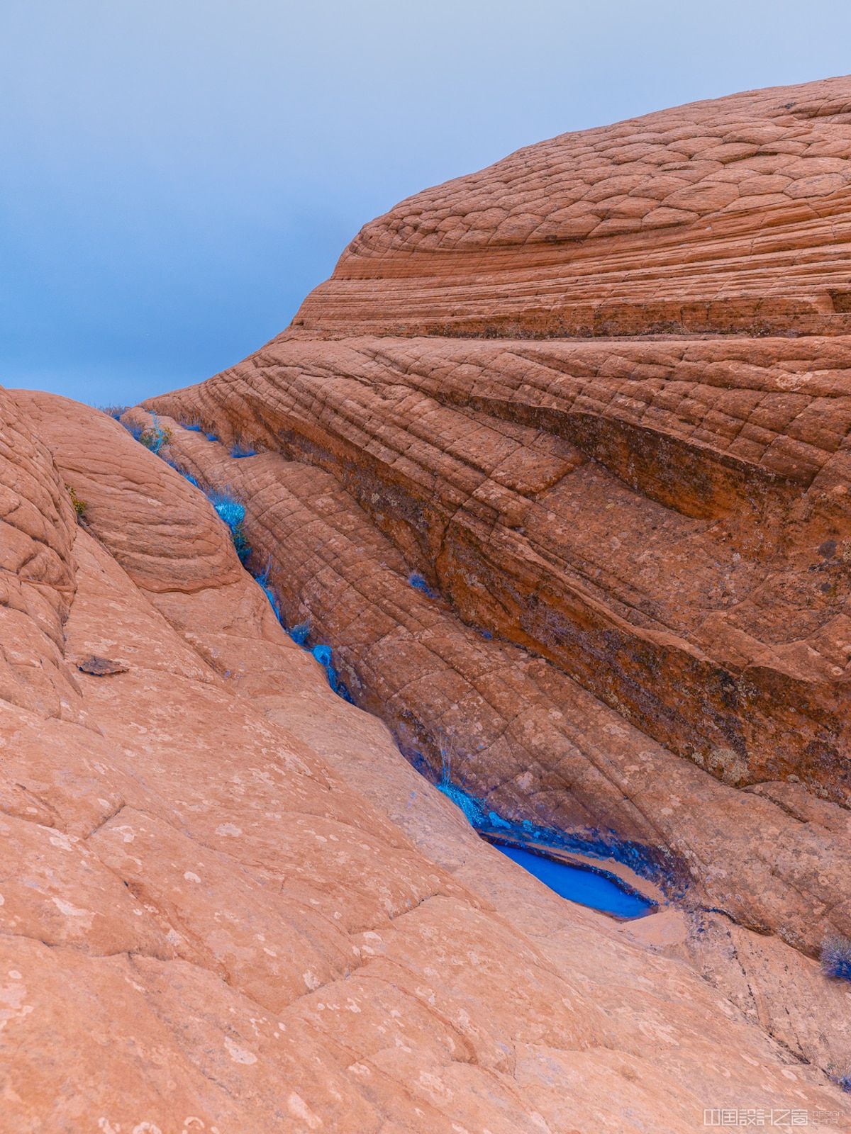 UV Light Landscape Photo by Cody Cobb