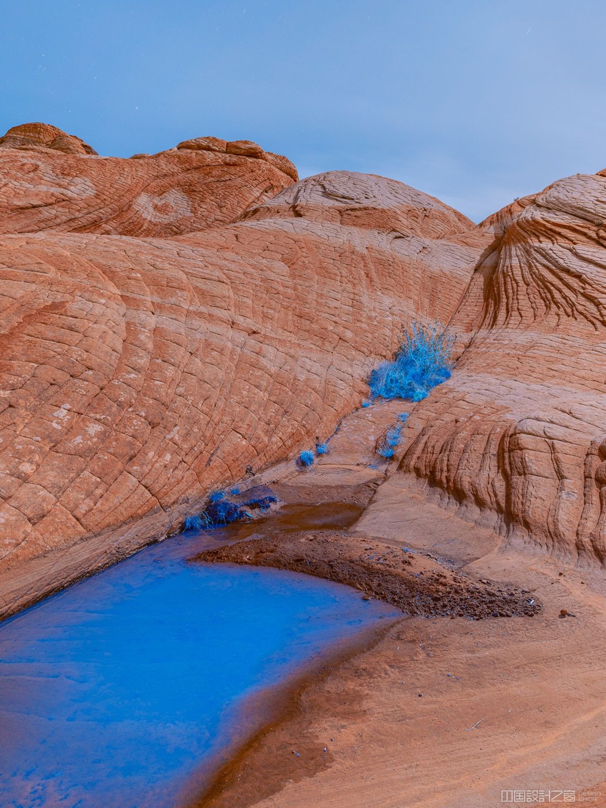 UV Light Landscape Photo by Cody Cobb